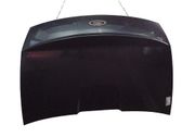 Tailgate/trunk/boot lid