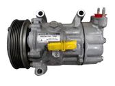 Klimakompressor Pumpe