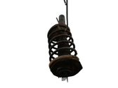 Front coil spring