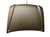 Engine bonnet/hood