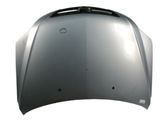 Engine bonnet/hood