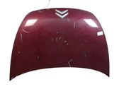Motorhaube