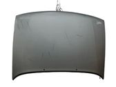 Engine bonnet/hood