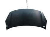 Motorhaube