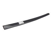 Front door trim (molding)