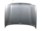 Engine bonnet/hood
