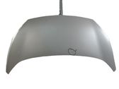 Engine bonnet/hood