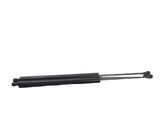 Tailgate/trunk strut/damper