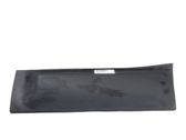Rear door trim (molding)