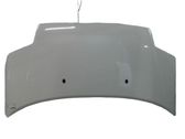 Engine bonnet/hood