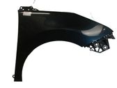 Fender