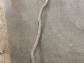 Engine coolant pipe/hose