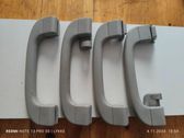 A set of handles for the ceiling