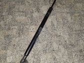 Tailgate/trunk strut/damper