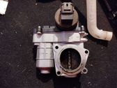 Throttle body valve