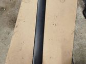 Rear door trim (molding)