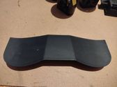 Dashboard trim