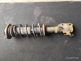 Front shock absorber with coil spring