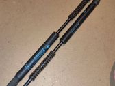 Tailgate/trunk strut/damper