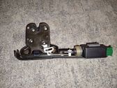 Tailgate/trunk/boot lock/catch/latch