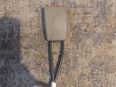 Hebilla del cinturón de seguridad trasero