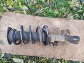 Front shock absorber with coil spring