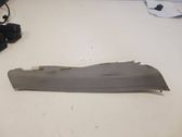 (C) pillar trim