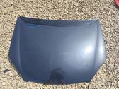 Engine bonnet/hood