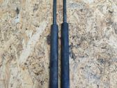 Tailgate/trunk strut/damper