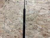 Tailgate/trunk strut/damper