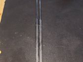 Tailgate/trunk strut/damper