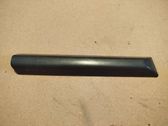 Fender trim (molding)
