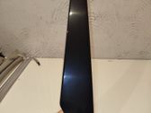 (B) Pillar trim (exterior)