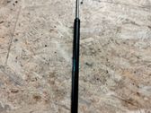 Tailgate/trunk strut/damper