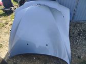 Engine bonnet/hood
