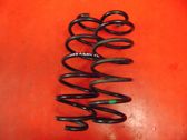 Rear coil spring