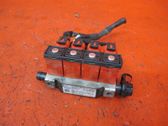 LP gas injector