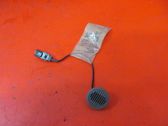 Microphone (bluetooth/phone)