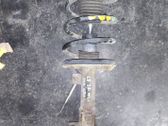 Front shock absorber/damper