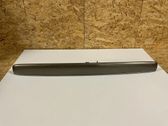 Trunk door license plate light bar