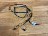 Other wiring loom