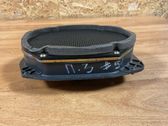 Rear door speaker