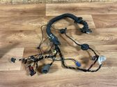 Front door wiring loom
