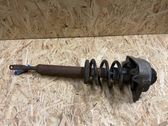 Front shock absorber with coil spring