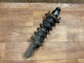 Rear shock absorber with coil spring