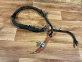 Positive wiring loom