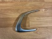 Other front door trim element