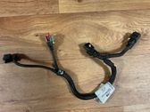 Other wiring loom