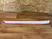 Front door trim (molding)