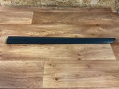 Rear door trim (molding)